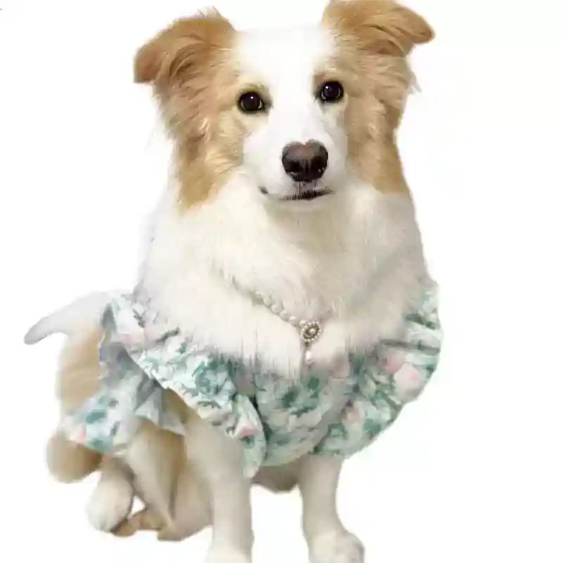 Summer Dog Clothing - Одежда для домашних животных: весенне-летняя милая
