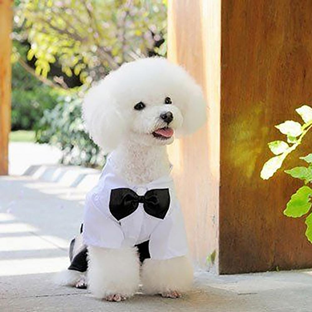 Summer Dog Clothing - Костюм с галстуком-бабочкой для собаки, костюм-смокинг,