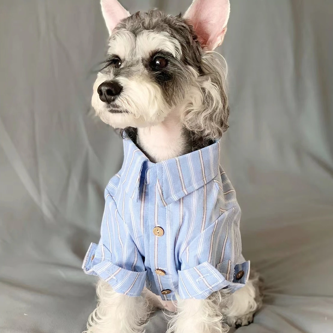 Одежда для домашних животных,  – обзор и цена Summer Dog Clothing