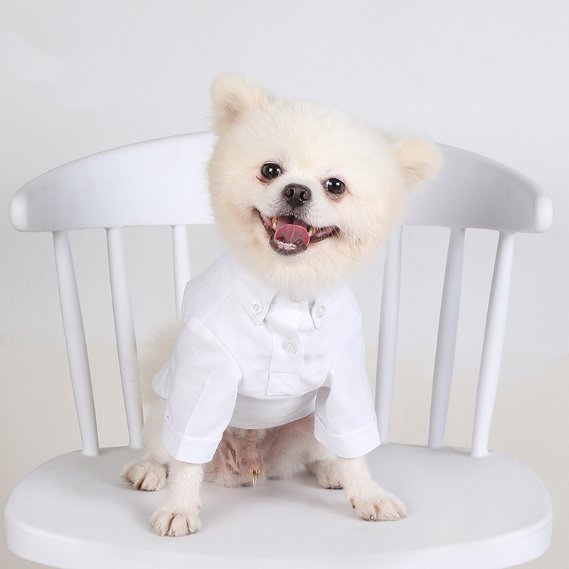 Весенние и осенние Рубашки для – обзор и цена Summer Dog Clothing