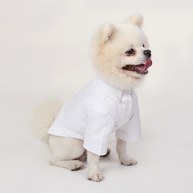 Весенние и осенние Рубашки для – обзор и цена Summer Dog Clothing