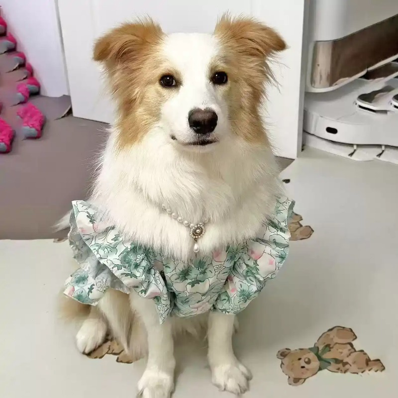 Одежда для домашних животных:  – обзор и цена Summer Dog Clothing