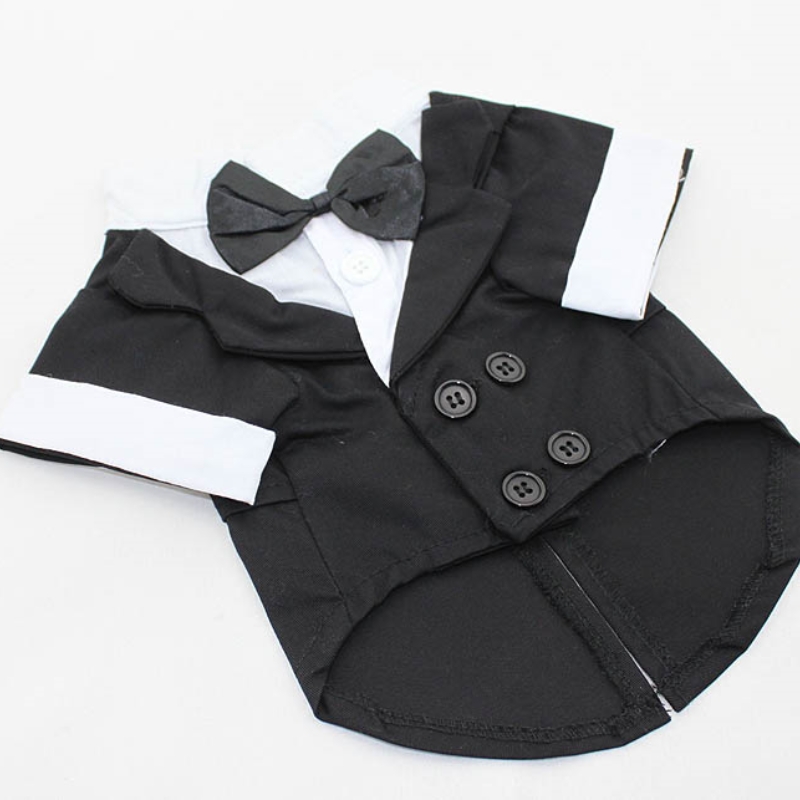 Рубашка для собаки, одежда для – обзор и цена Summer Dog Clothing
