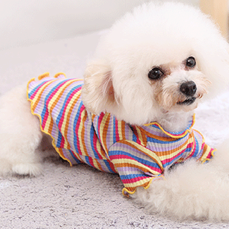 Одежда для собак, жилет для ще – обзор и цена Summer Dog Clothing