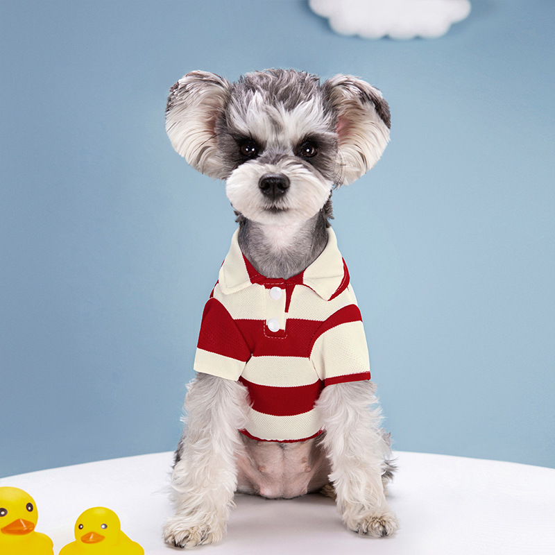 Футболка-поло для собак: летня – обзор и цена Summer Dog Clothing
