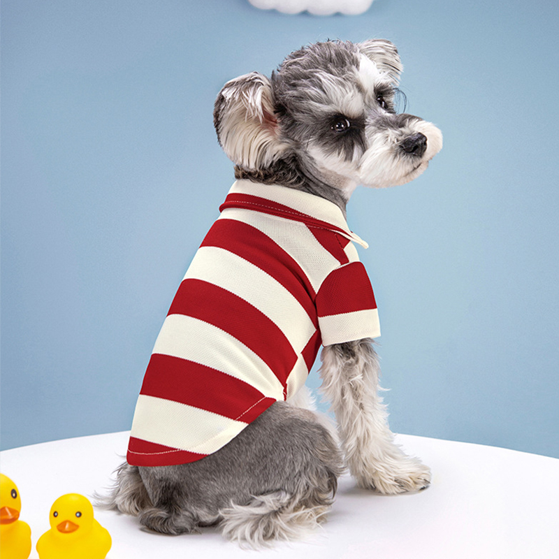 Футболка-поло для собак: летня – обзор и цена Summer Dog Clothing