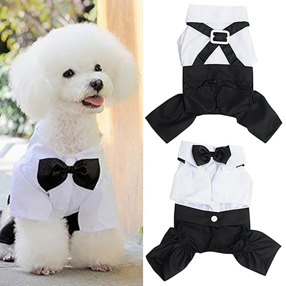 Костюм с галстуком-бабочкой дл – обзор и цена Summer Dog Clothing