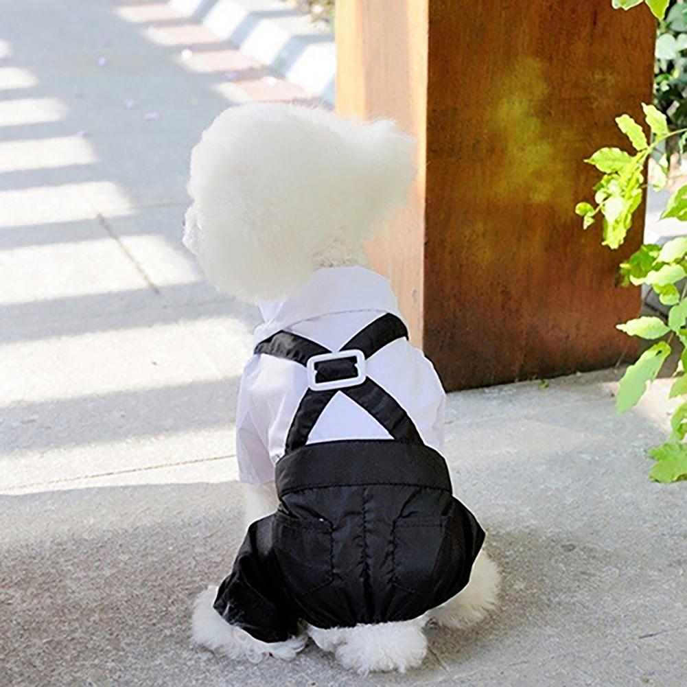 Костюм с галстуком-бабочкой дл – обзор и цена Summer Dog Clothing